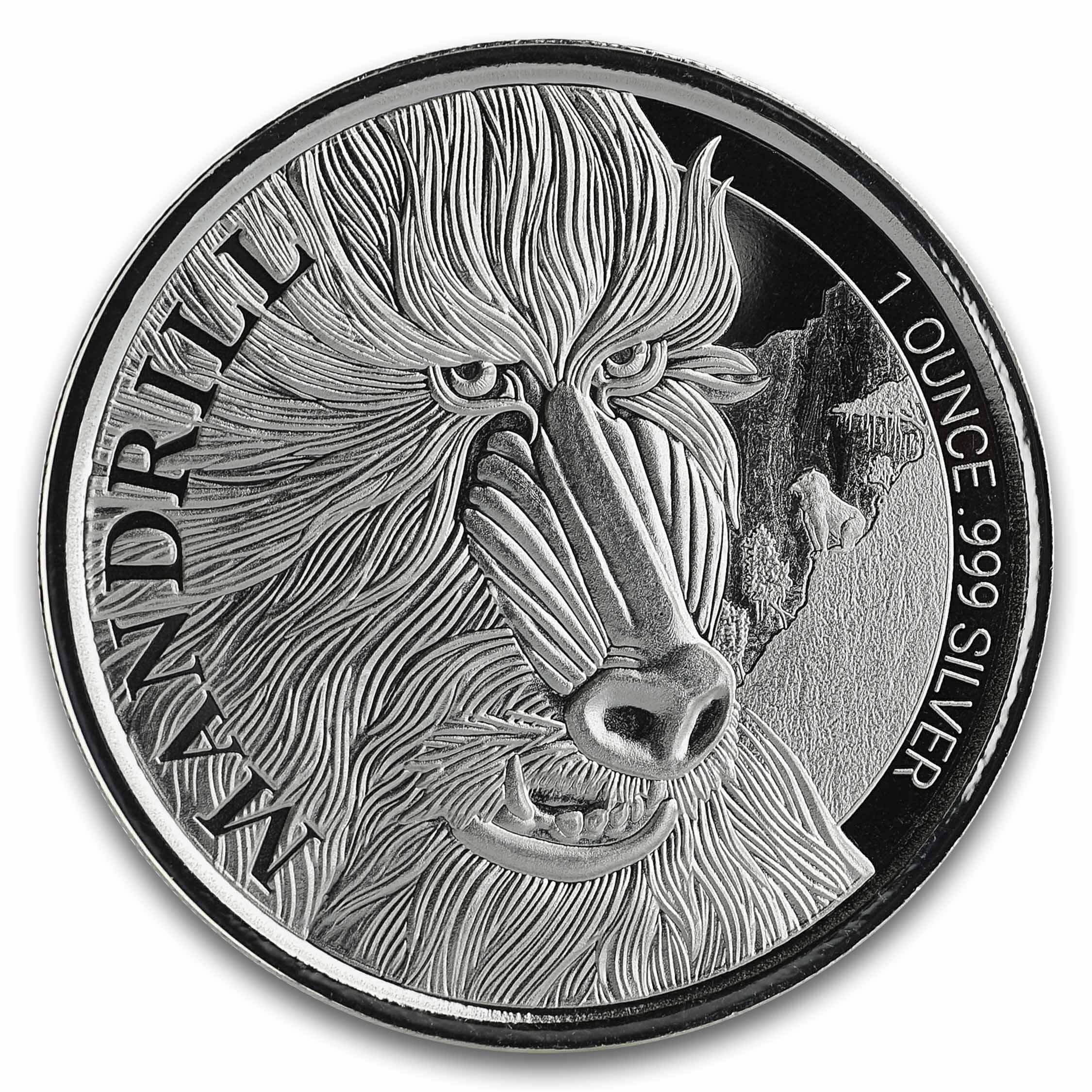 2019 Cameroon Cheetah 1 Oz Silver Coin (copy)