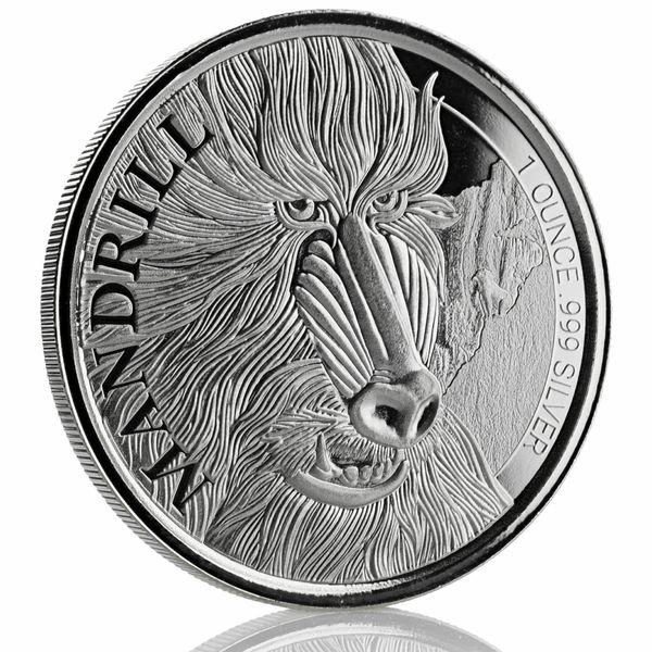 2019 Cameroon Cheetah 1 Oz Silver Coin (copy)