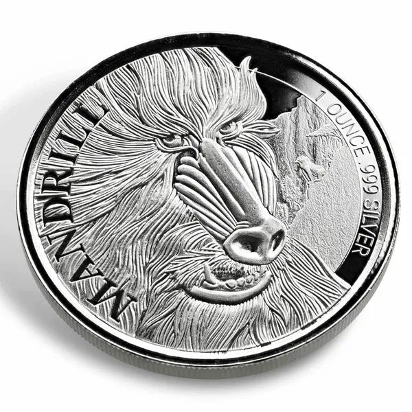 2019 Cameroon Cheetah 1 Oz Silver Coin (copy)
