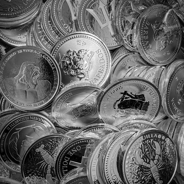 Random Scottsdale Mint 1 Troy Oz 999 Fine Silver Coin Random Year Random Series Random Country 01