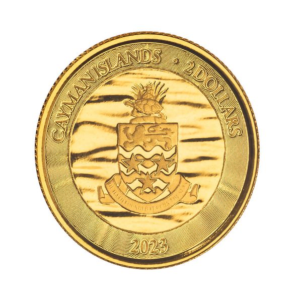 2023 Scottsdale Mint Cayman Islands Loggerhead Turtle Tenth Troy Ounce 9999 Fine Gold Coin 03