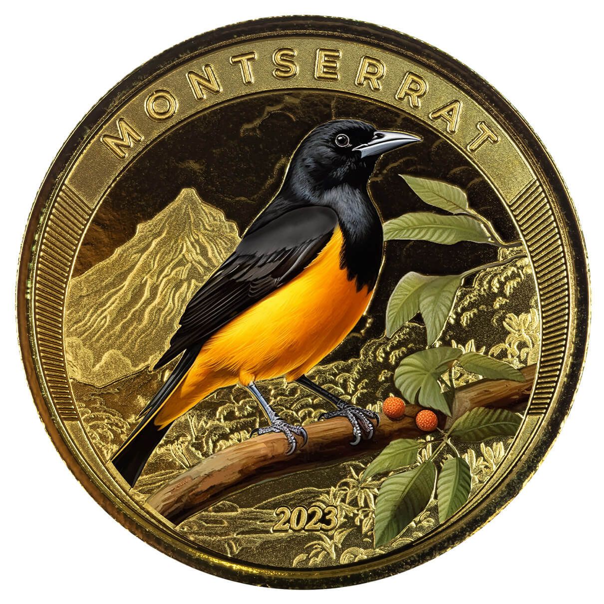2023 Ec8 Montserrat Oriole Bird 1 Troy Ounce 9999 Fine Gold Color Proof Coin 08