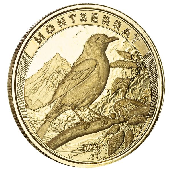 2023 Ec8 Montserrat Oriole Bird 1 Troy Ounce 9999 Fine Gold Proof Like Coin 06