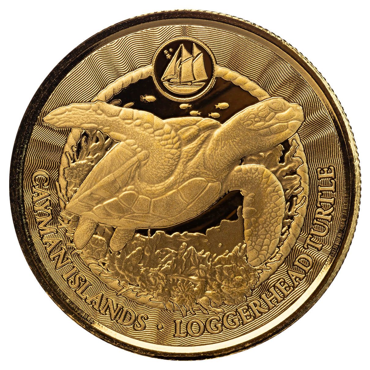 2024 Scottsdale Mint Cayman Islands Monetary Authority Loggerhead Turtle 1 Troy Ounce 9999 Fine Gold Proof Like Legal Tender Coin 04