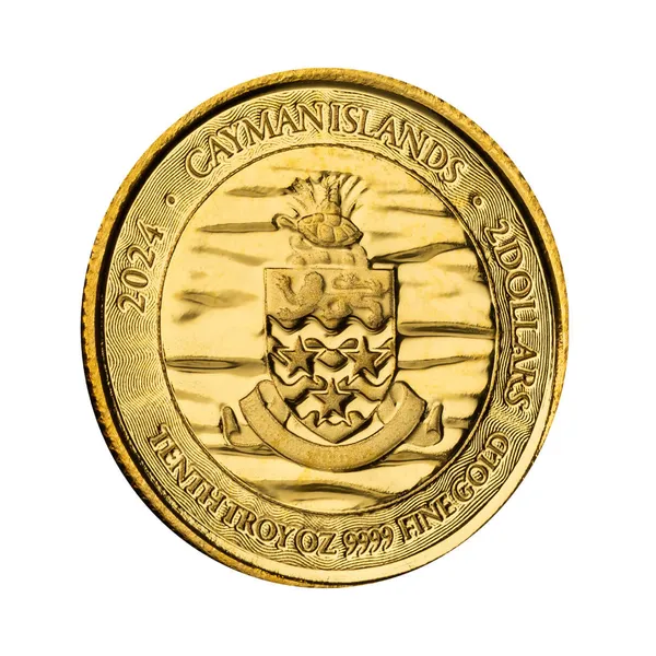 2024 Scottsdale Mint Cayman Islands Monetary Authority Loggerhead Turtle Tenth Troy Ounce 9999 Fine Gold Proof Like Legal Tender Coin 01