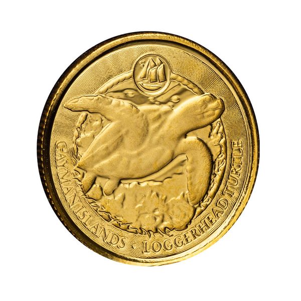2024 Scottsdale Mint Cayman Islands Monetary Authority Loggerhead Turtle Tenth Troy Ounce 9999 Fine Gold Proof Like Legal Tender Coin 03