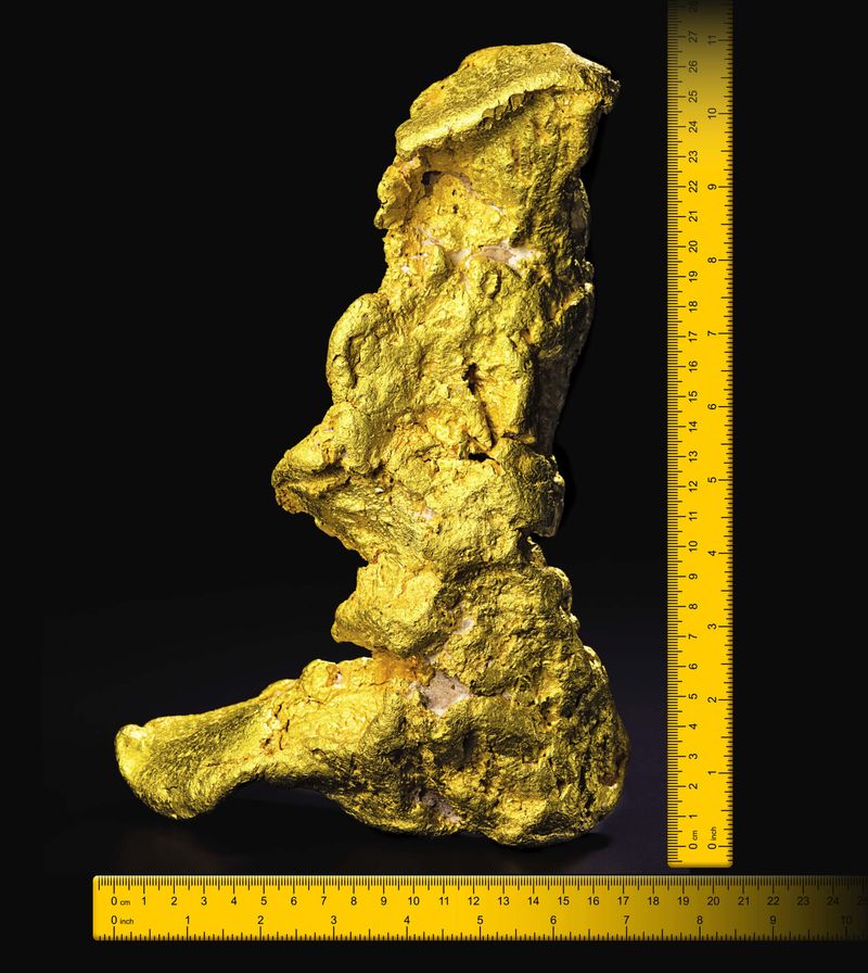 The Boot Of Cortez: A Golden Legend Come To Life