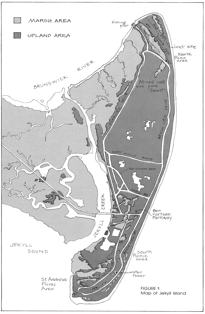 Figure 1 Map Of Jekyll Island