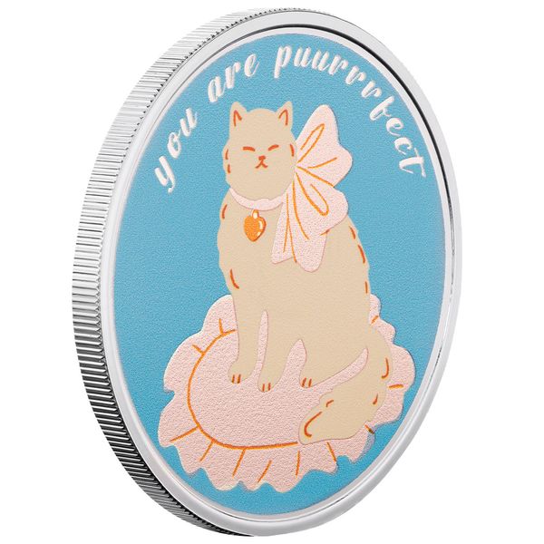 2025 Scottsdale Mint You Are Puuuurrrfect 1 Troy Ounce 999 Fine Silver Round 1